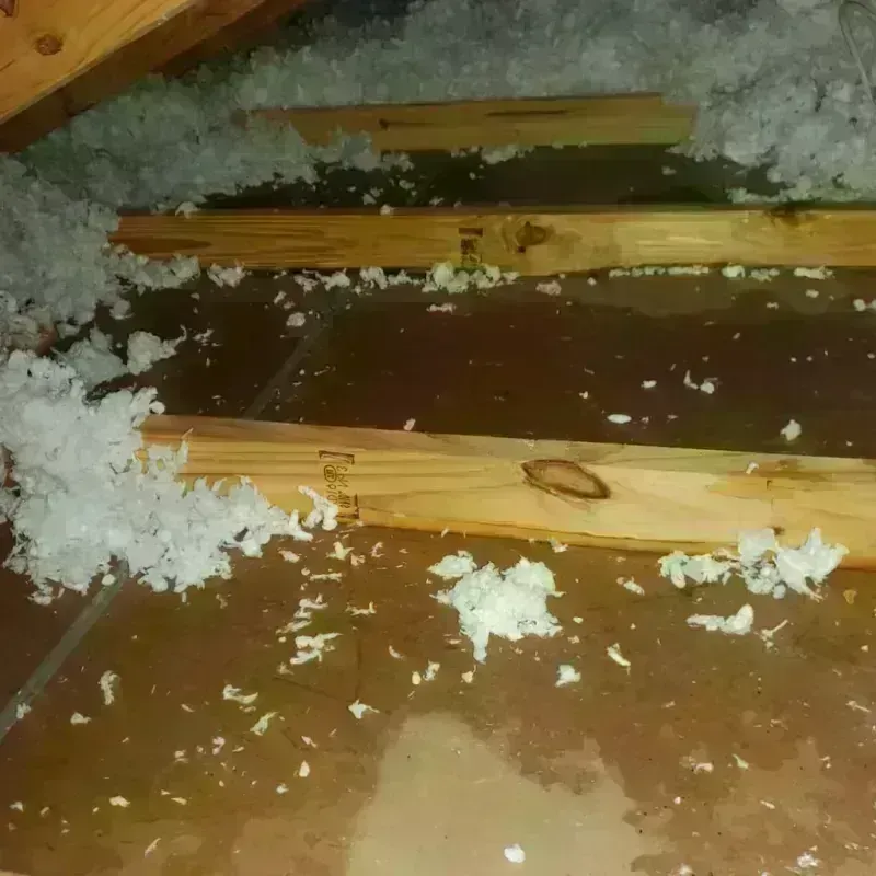 Attic Water Damage in Ten Mile Run, NJ