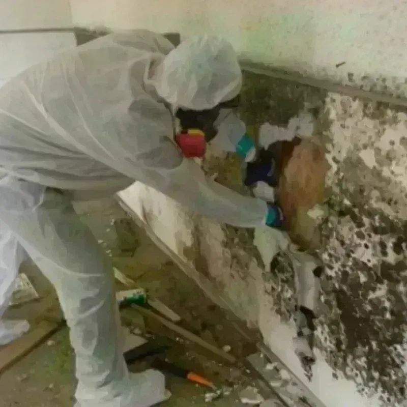 Mold Remediation and Removal in Ten Mile Run, NJ